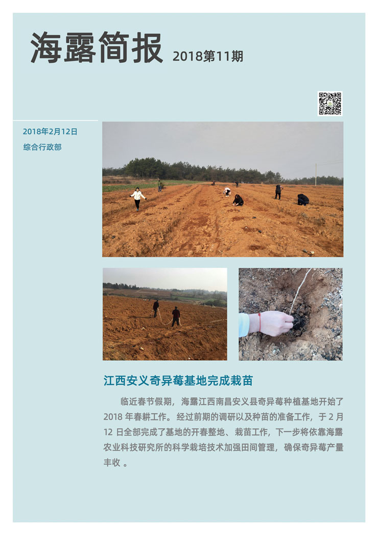 ��ҳ- �ڲ���������Ϊ��,רҵ����!