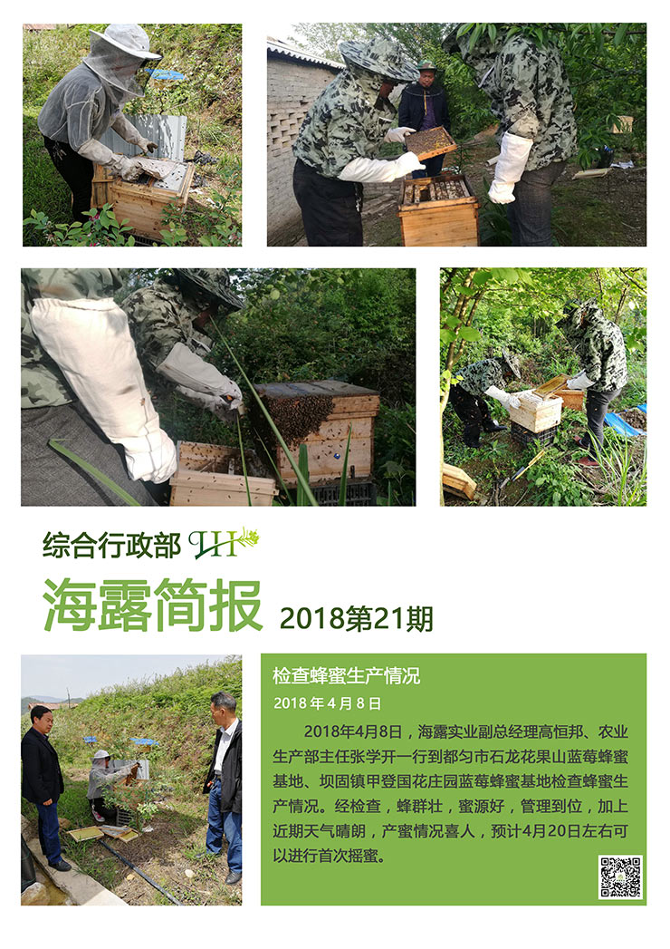 ��ҳ- �ڲ���������Ϊ��,רҵ����!