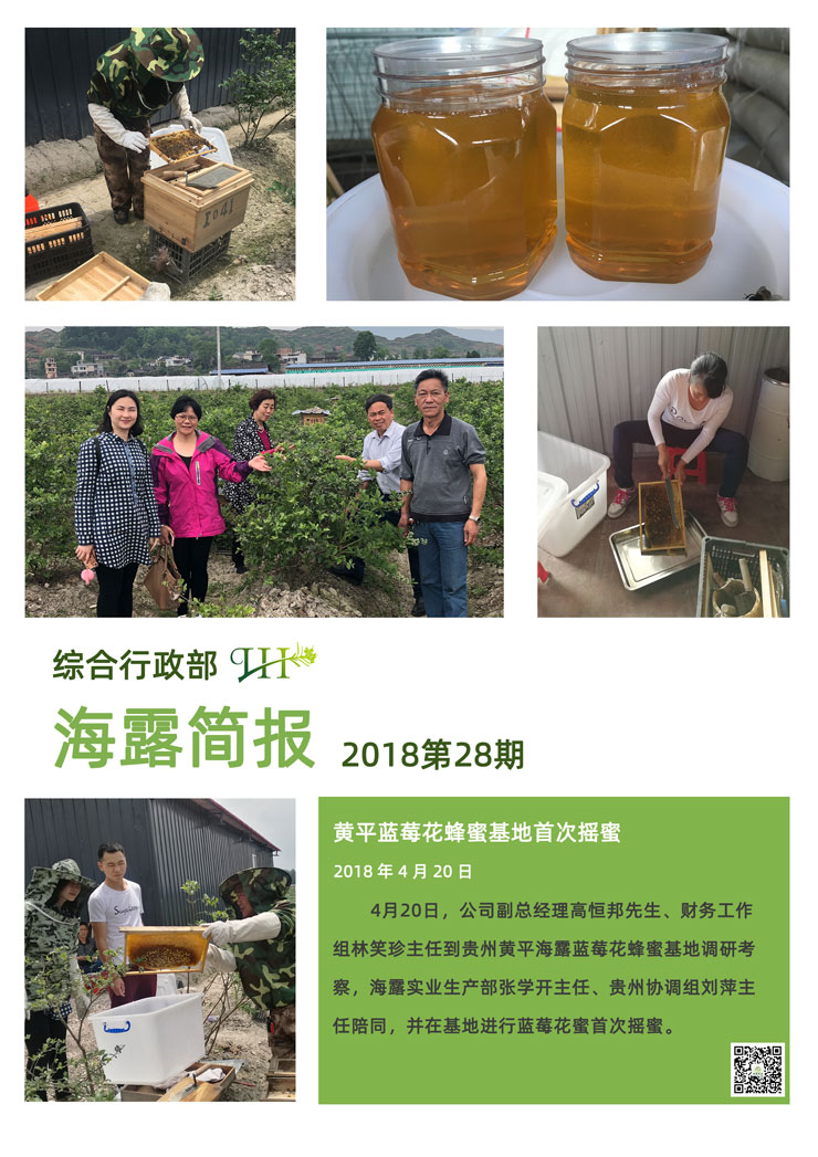 ��ҳ- �ڲ���������Ϊ��,רҵ����!