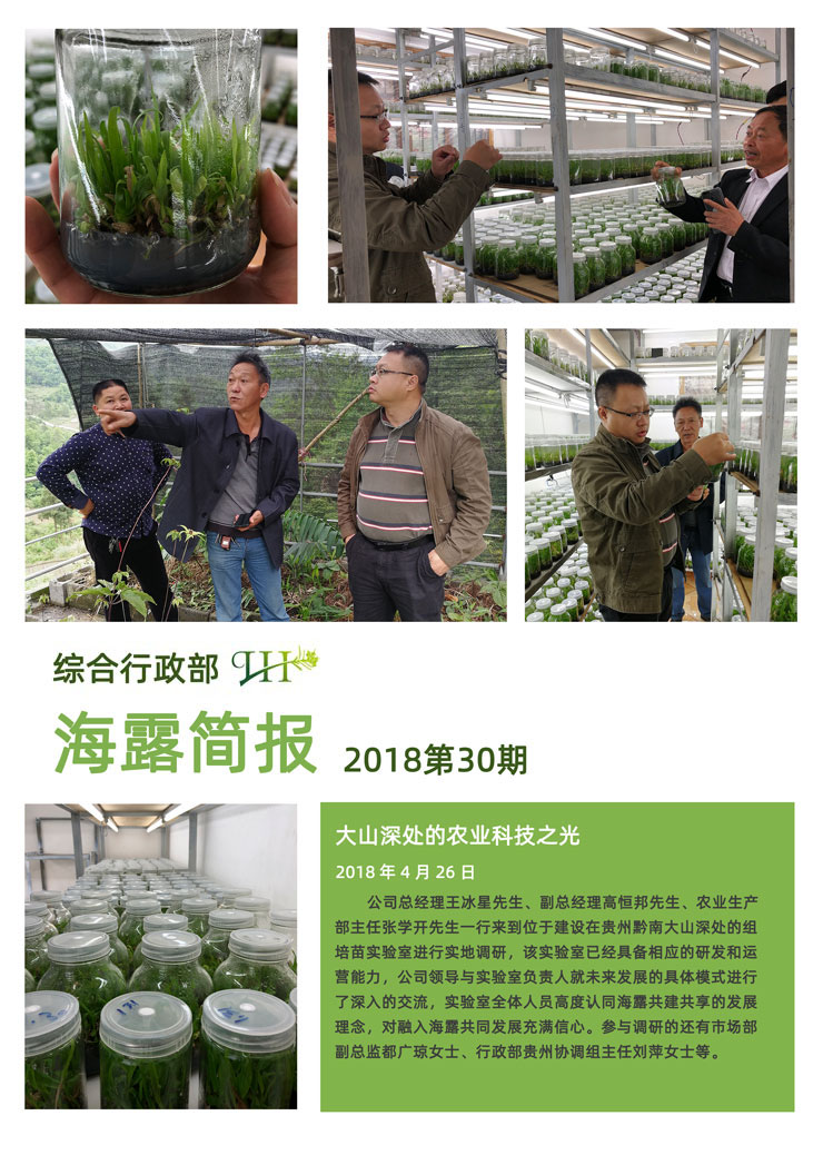 ��ҳ- �ڲ���������Ϊ��,רҵ����!