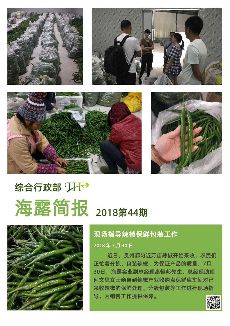 ��ҳ- �ڲ���������Ϊ��,רҵ����!