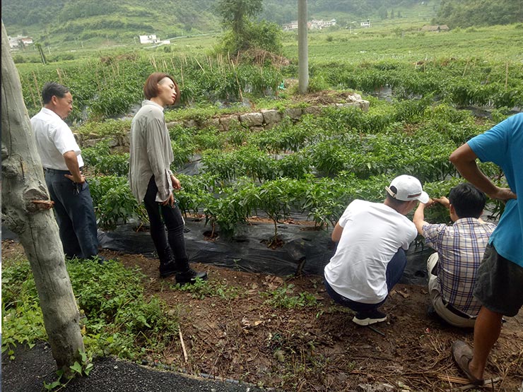 ��ҳ- �ڲ���������Ϊ��,רҵ����!