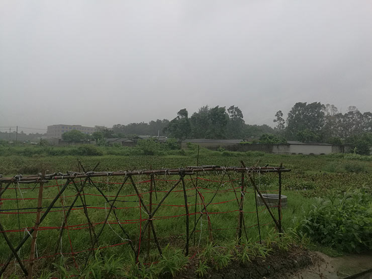 ��ҳ- �ڲ���������Ϊ��,רҵ����!