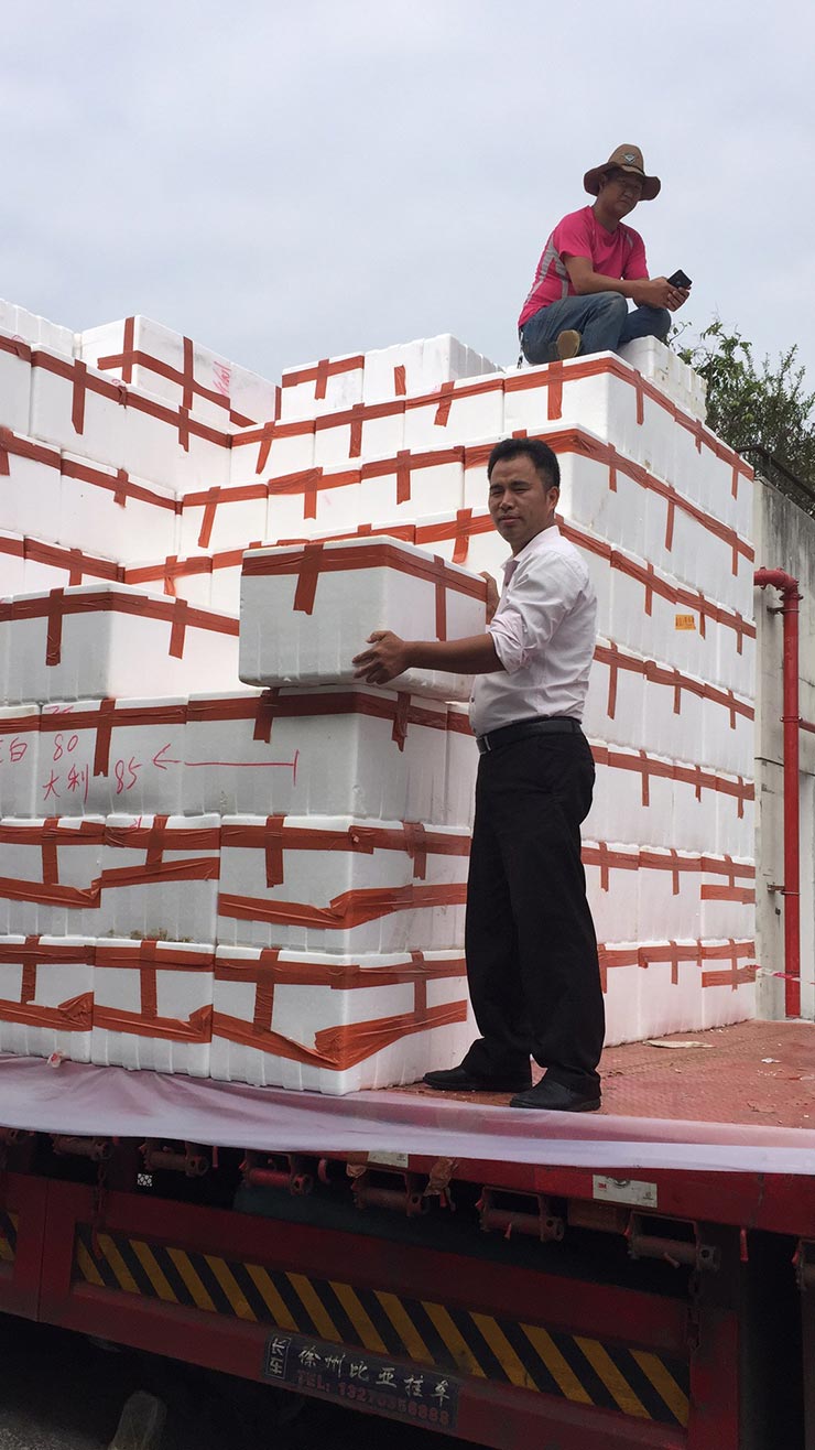 ��ҳ- �ڲ���������Ϊ��,רҵ����!