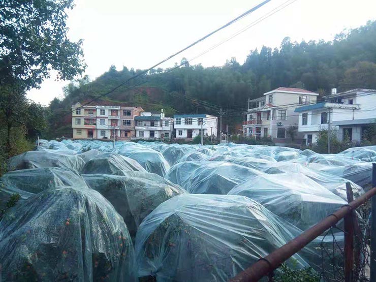 ��ҳ- �ڲ���������Ϊ��,רҵ����!