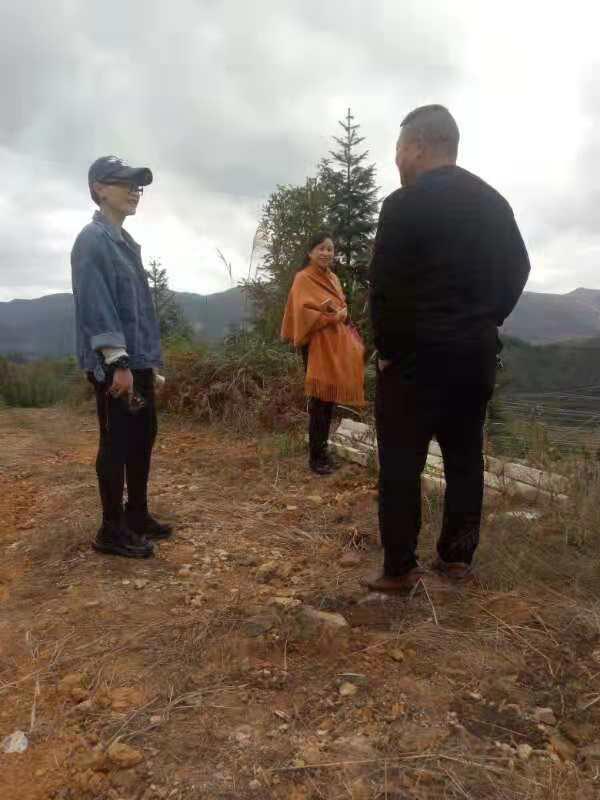 ��ҳ- �ڲ���������Ϊ��,רҵ����!