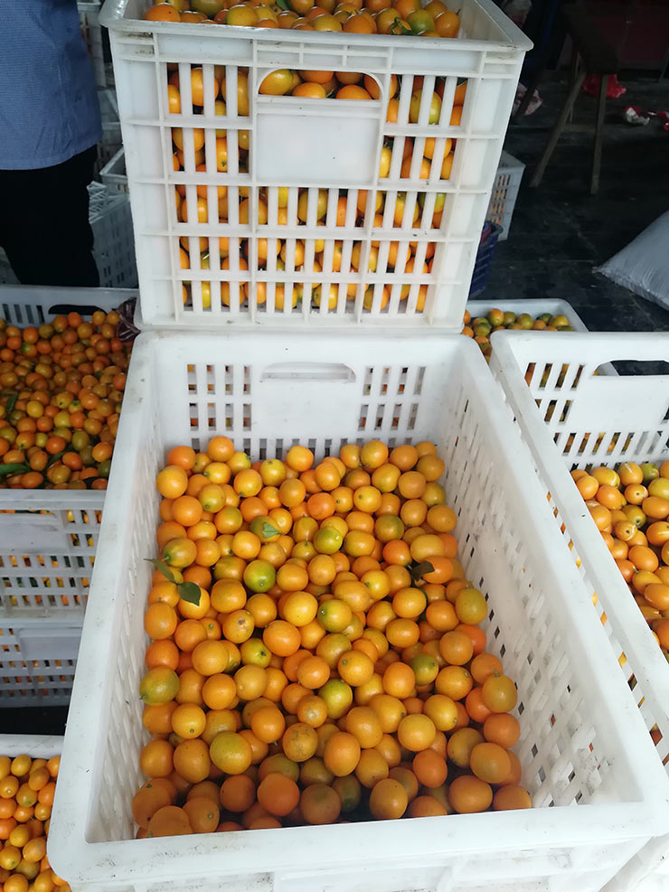 ��ҳ- �ڲ���������Ϊ��,רҵ����!