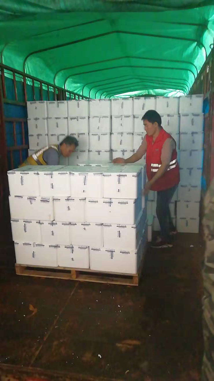 ��ҳ- �ڲ���������Ϊ��,רҵ����!