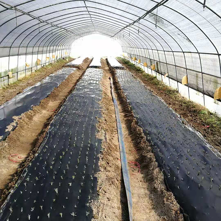 ��ҳ- �ڲ���������Ϊ��,רҵ����!