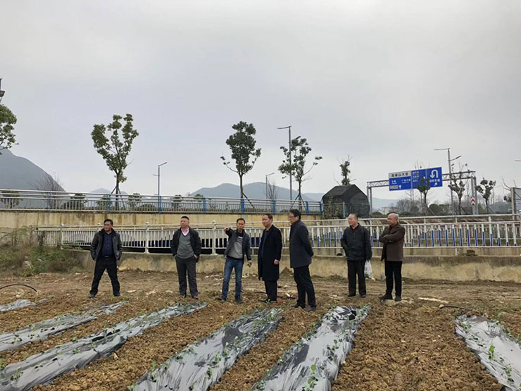 ��ҳ- �ڲ���������Ϊ��,רҵ����!