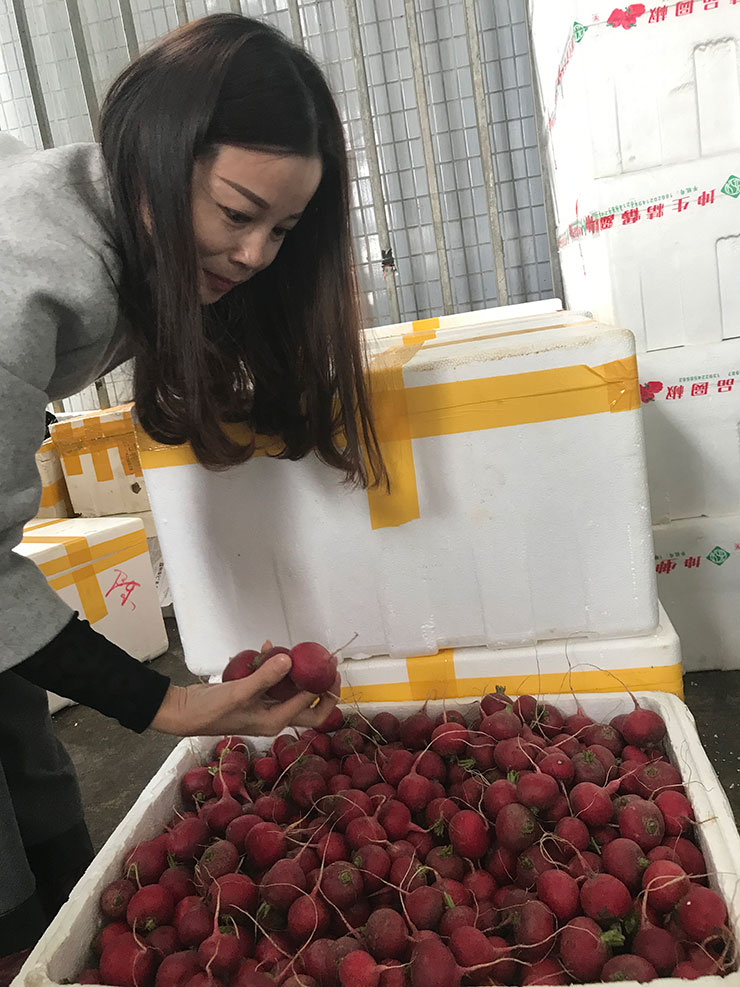 ��ҳ- �ڲ���������Ϊ��,רҵ����!