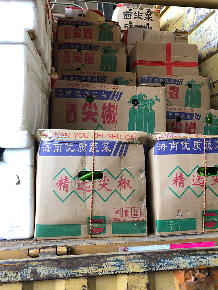 ��ҳ- �ڲ���������Ϊ��,רҵ����!