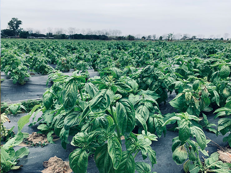 ��ҳ- �ڲ���������Ϊ��,רҵ����!