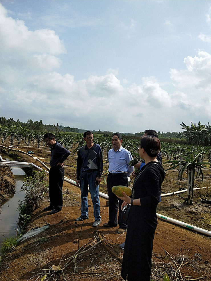 ��ҳ- �ڲ���������Ϊ��,רҵ����!