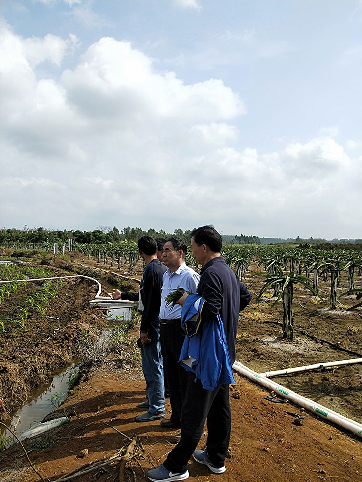 ��ҳ- �ڲ���������Ϊ��,רҵ����!