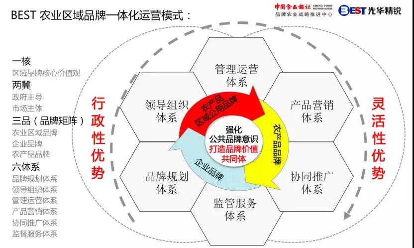 1-1Z219141216137 1-1Z219141216137