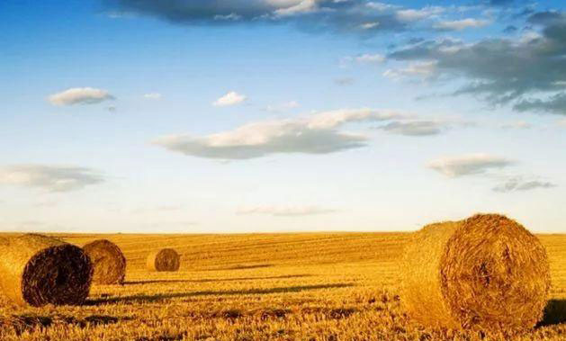 ��ҳ- �ڲ���������Ϊ��,רҵ����!