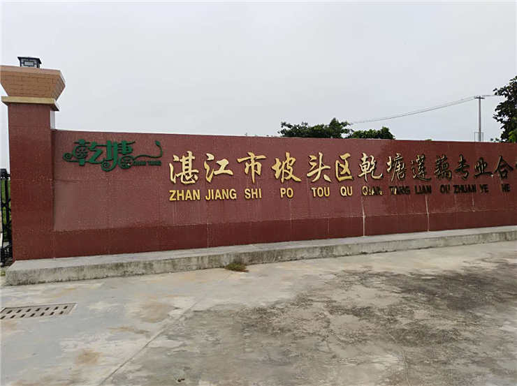 ��ҳ- �ڲ���������Ϊ��,רҵ����!