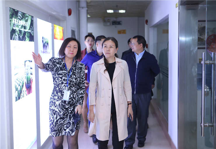 ��ҳ- �ڲ���������Ϊ��,רҵ����!