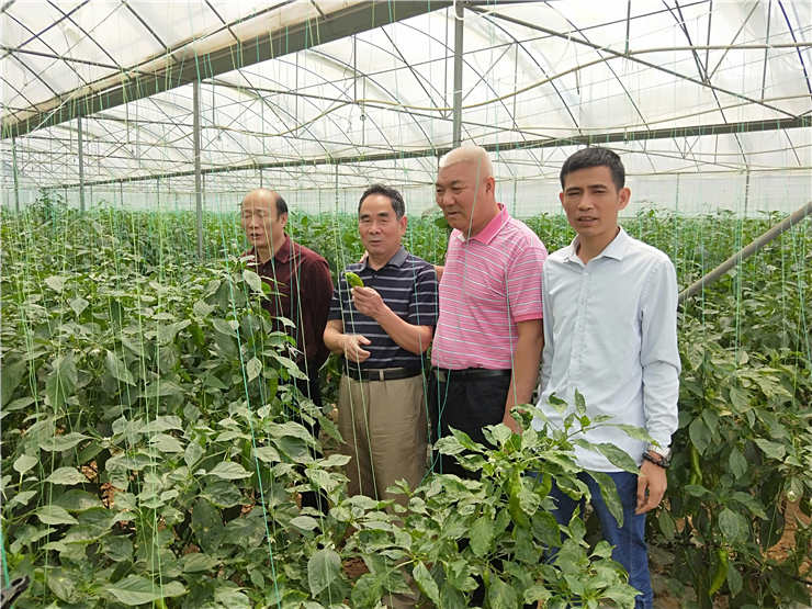 ��ҳ- �ڲ���������Ϊ��,רҵ����!