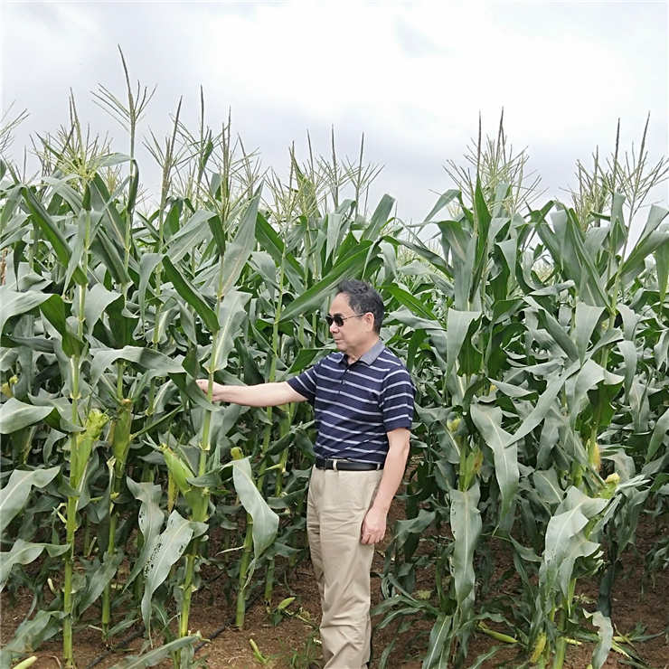 ��ҳ- �ڲ���������Ϊ��,רҵ����!