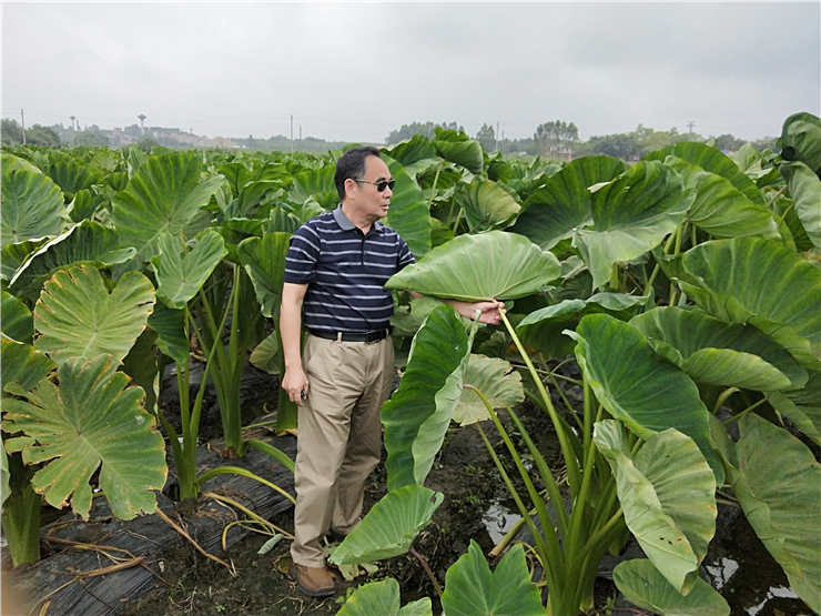 ��ҳ- �ڲ���������Ϊ��,רҵ����!