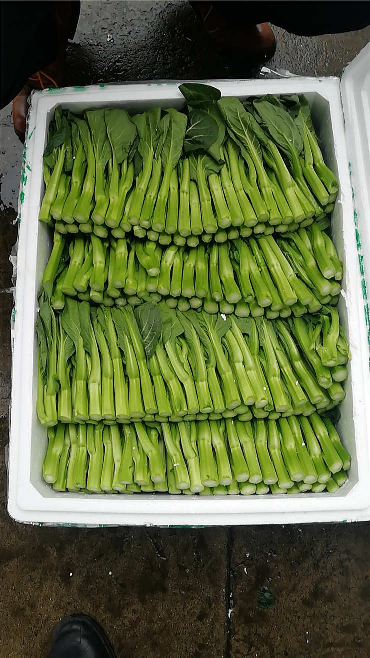 ��ҳ- �ڲ���������Ϊ��,רҵ����!