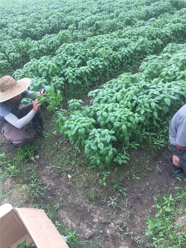 ��ҳ- �ڲ���������Ϊ��,רҵ����!