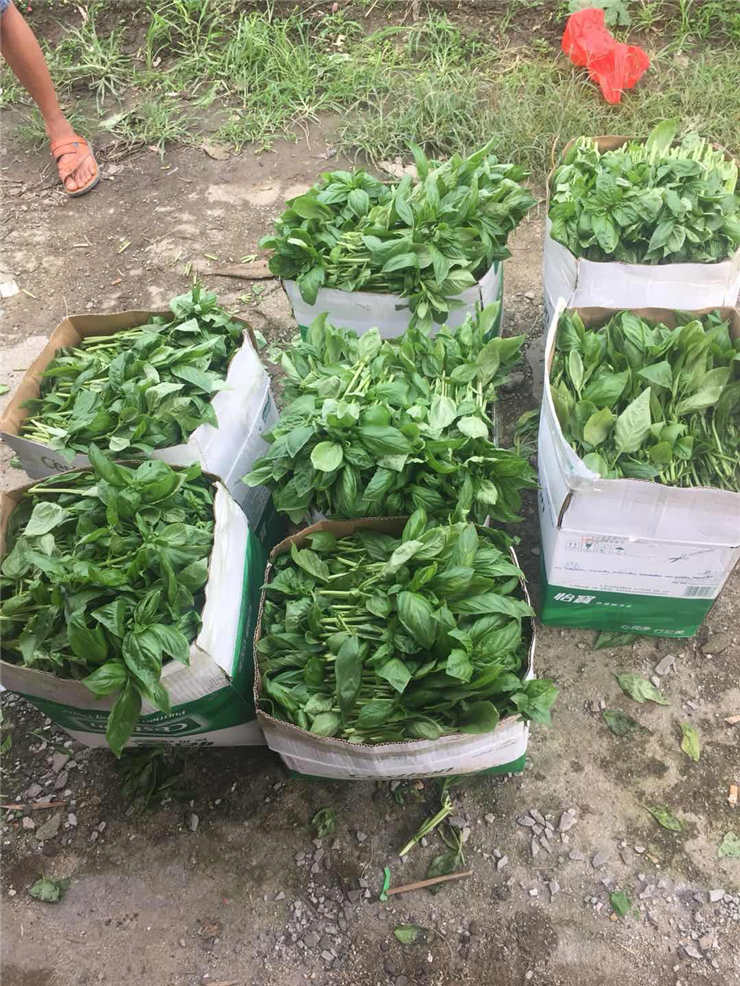 ��ҳ- �ڲ���������Ϊ��,רҵ����!