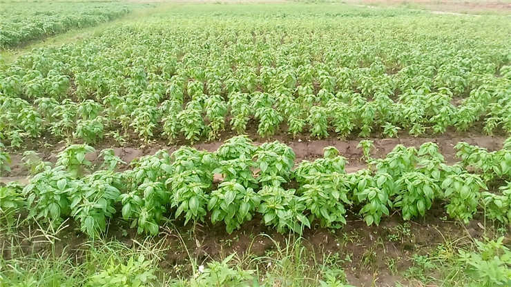 ��ҳ- �ڲ���������Ϊ��,רҵ����!