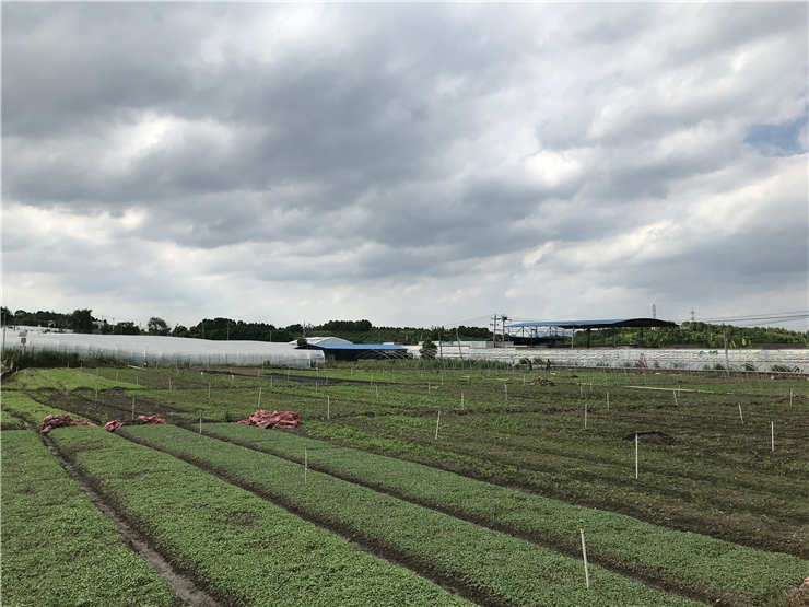 ��ҳ- �ڲ���������Ϊ��,רҵ����!