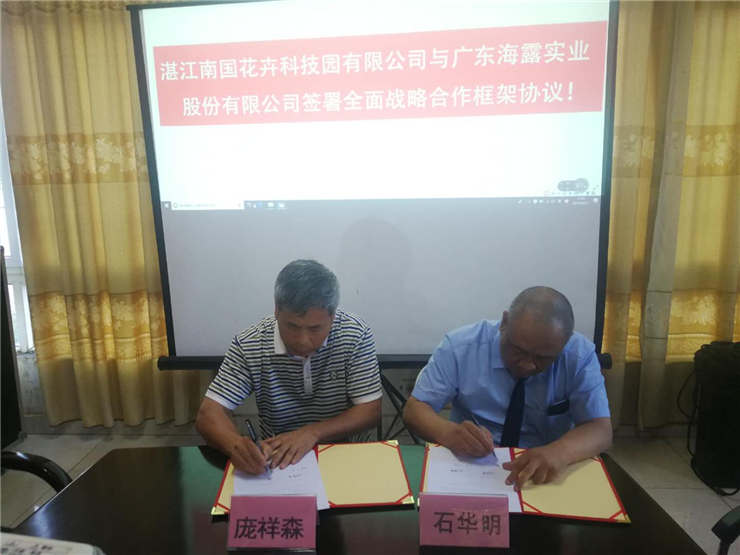 ��ҳ- �ڲ���������Ϊ��,רҵ����!