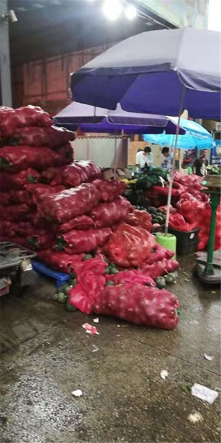 ��ҳ- �ڲ���������Ϊ��,רҵ����!