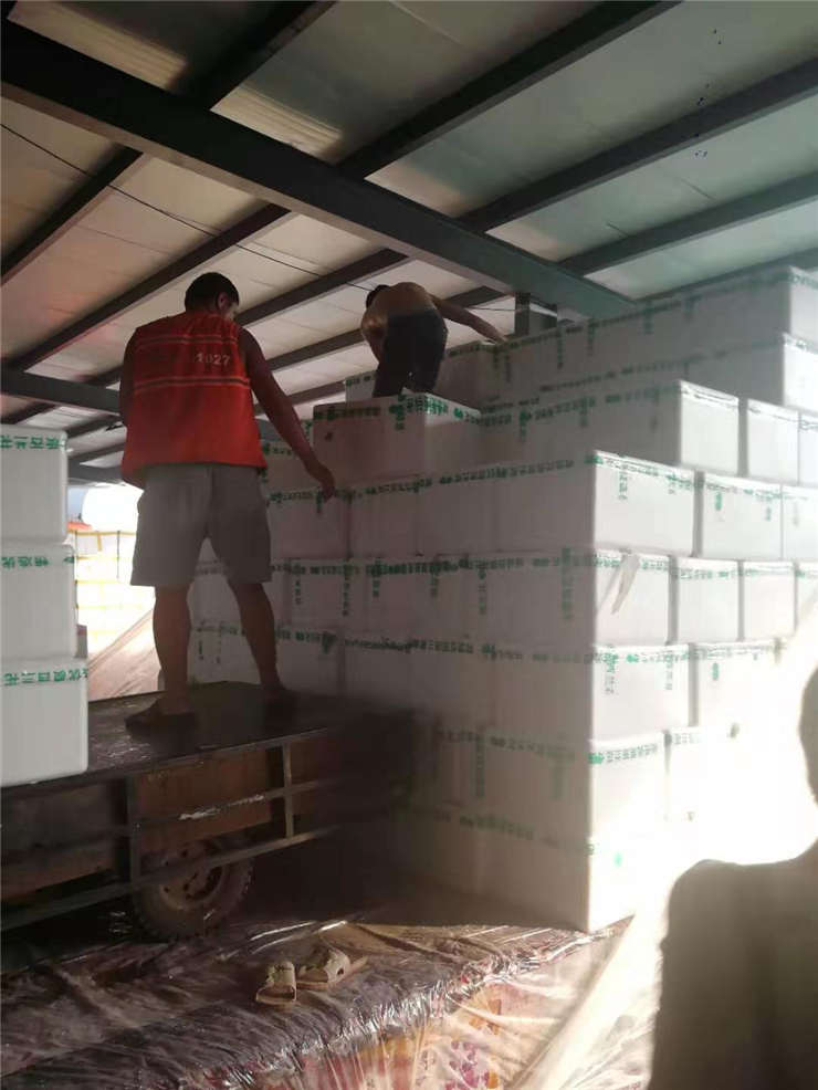 ��ҳ- �ڲ���������Ϊ��,רҵ����!