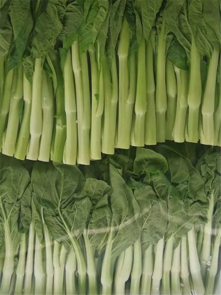 ��ҳ- �ڲ���������Ϊ��,רҵ����!