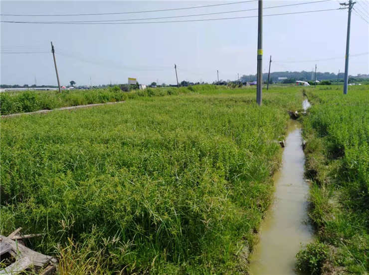 ��ҳ- �ڲ���������Ϊ��,רҵ����!