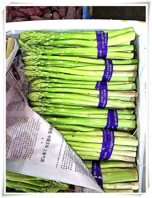 ��ҳ- �ڲ���������Ϊ��,רҵ����!