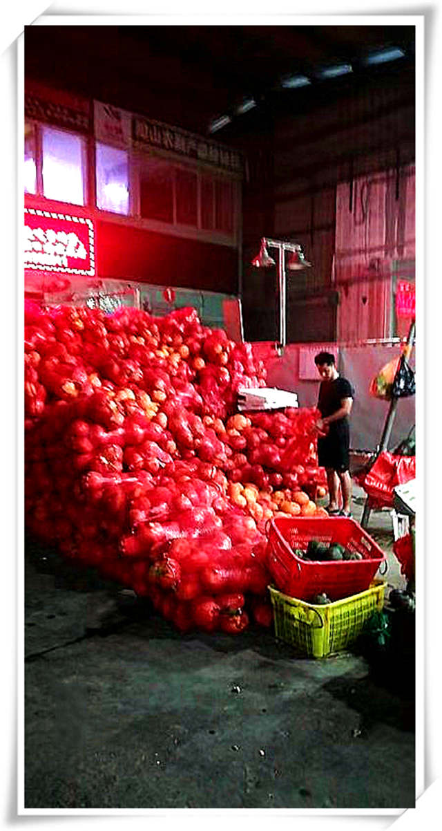 ��ҳ- �ڲ���������Ϊ��,רҵ����!