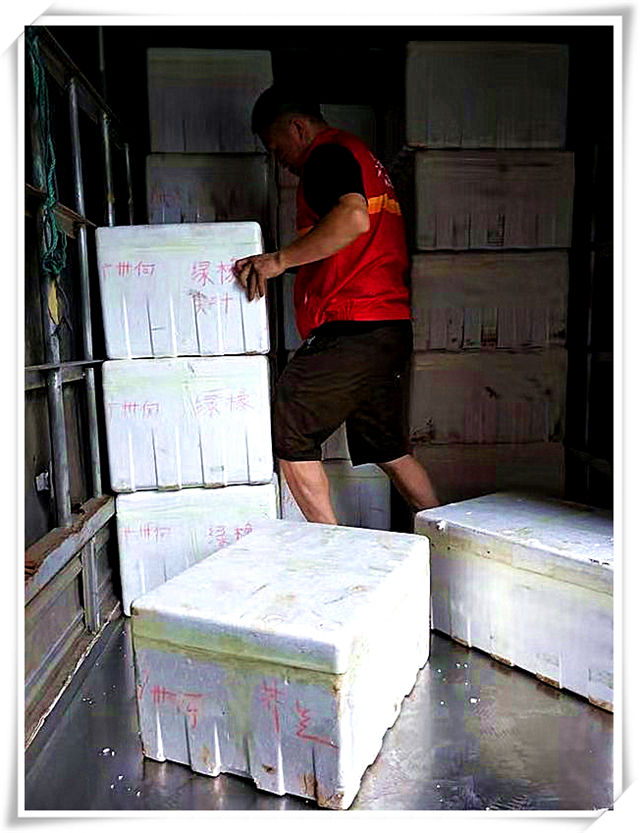 ��ҳ- �ڲ���������Ϊ��,רҵ����!