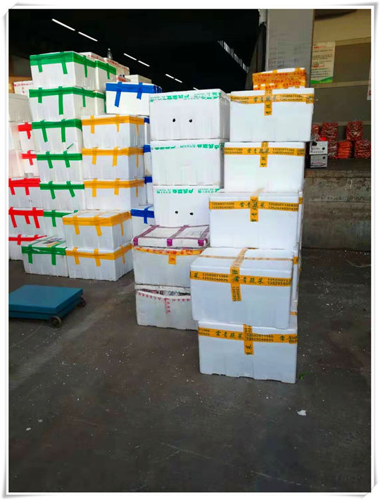 ��ҳ- �ڲ���������Ϊ��,רҵ����!