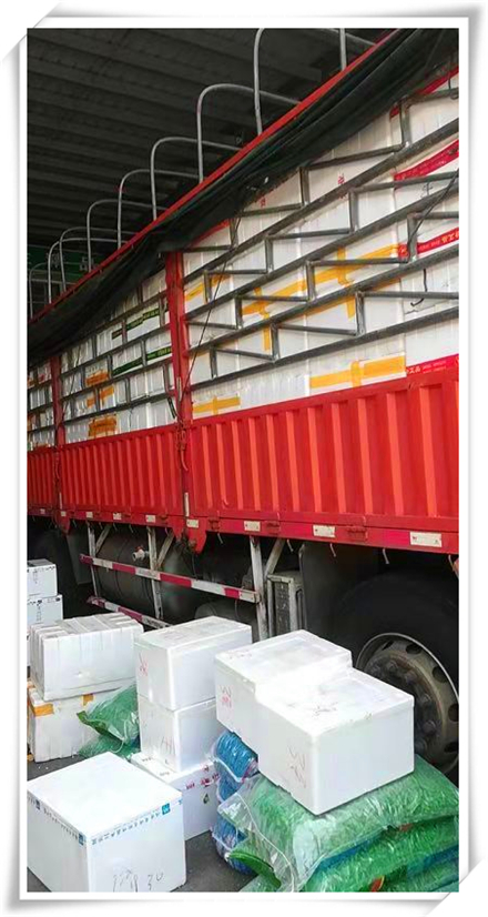 ��ҳ- �ڲ���������Ϊ��,רҵ����!