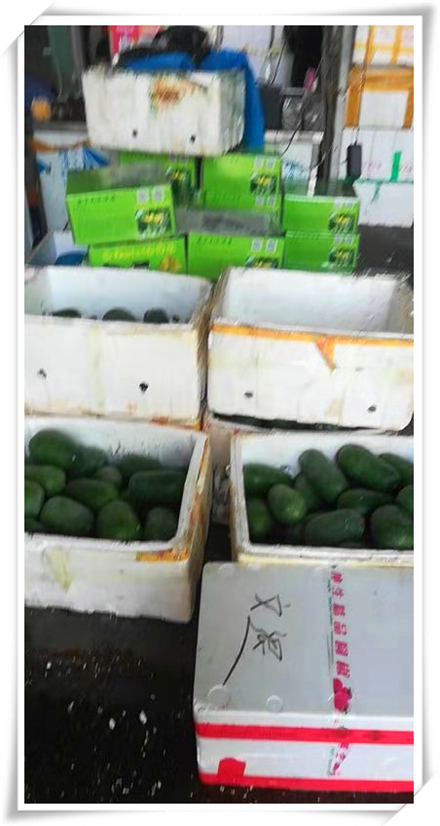 ��ҳ- �ڲ���������Ϊ��,רҵ����!