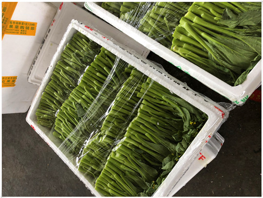 ��ҳ- �ڲ���������Ϊ��,רҵ����!