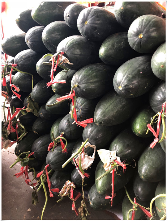 ��ҳ- �ڲ���������Ϊ��,רҵ����!