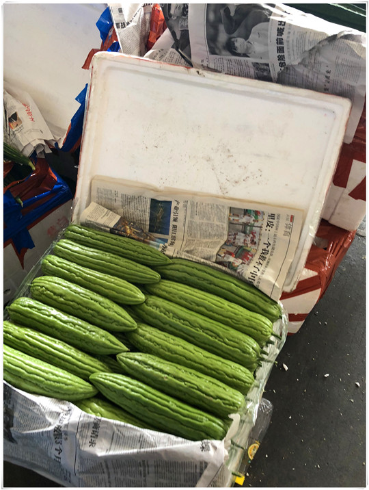 ��ҳ- �ڲ���������Ϊ��,רҵ����!