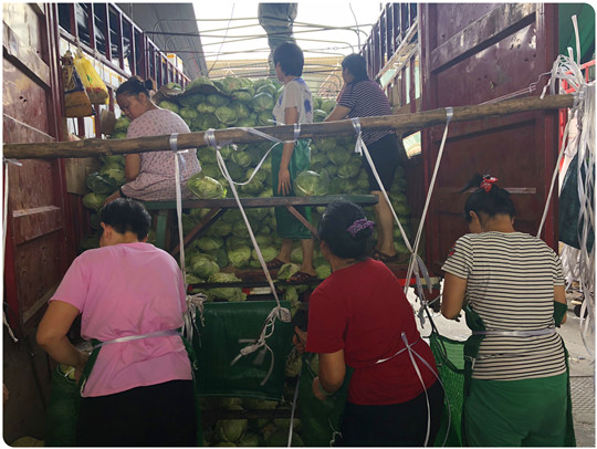 ��ҳ- �ڲ���������Ϊ��,רҵ����!