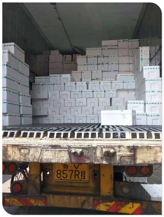 ��ҳ- �ڲ���������Ϊ��,רҵ����!