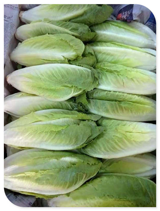 ��ҳ- �ڲ���������Ϊ��,רҵ����!