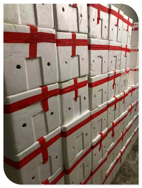 ��ҳ- �ڲ���������Ϊ��,רҵ����!