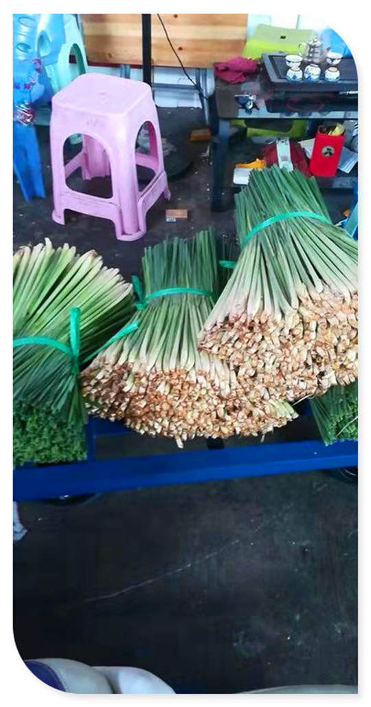 ��ҳ- �ڲ���������Ϊ��,רҵ����!